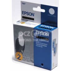 Cartus Cerneala Epson Ink Cartridge double pack black;St Photo 790/ 870/ 870 LE/ 875DC/ 890/ 895/ 900/ 915/ 1270/ 1290/ 1290S - C13T00740210